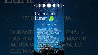 Calendario lunar de octubre 2024 [upl. by Kristo]