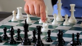 3 Basic Opening Strategy Principles  Chess [upl. by Ilocin]