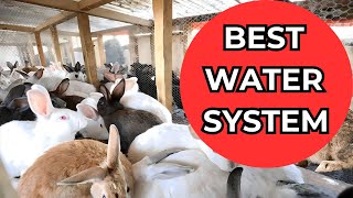 Build Automatic Rabbit Water System Say Goodbye to Manual Watering [upl. by Adiari]