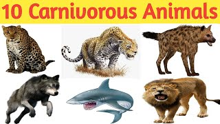 10 Carnivorous Animals Name List Of 10 Carnivores Animals In English Carnivorous Animals For Kids [upl. by Siraval]