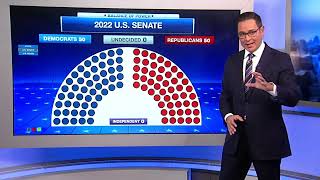 Breaking down the Illinois Congressional races [upl. by Esydnac]