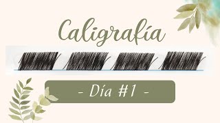 Caligrafía  Día 1 [upl. by Quinta]