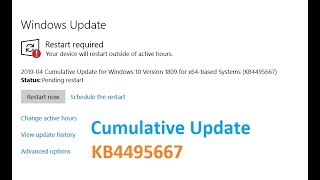 Cumulative Update for Windows 10 Version 1809 for x64 based Systems KB4495667 [upl. by Anires]