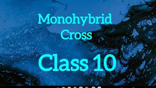 Class 4Monohybrid Cross Class 10 Science [upl. by Yojenitsirk]