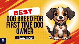 Top best dog breeds for first time dog owners Dog Series Dog Pedia [upl. by Eibber]