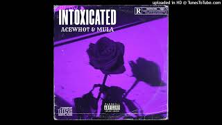 Intoxicated Remix feat Mula [upl. by Fotinas]