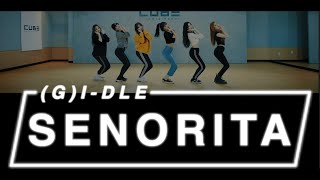 DANCE CHOREOGRAPHER REACTS  여자아이들 G IDLE  Senorita Dance Practice  MV [upl. by Lutim330]