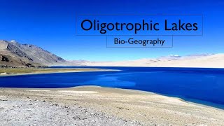 Oligotrophic Lakes  Environmental Geography  Bio Geography  Geography [upl. by Wentworth]