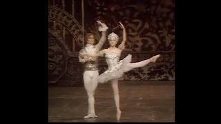 Final Pas de Deux  The Nutcracker [upl. by Laehpar]