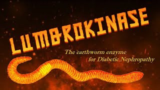 Lumbrokinase The earthworm enzyme for Diabetic Nephropathy [upl. by Charlene791]