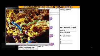 Eukaryotic Cells Vs Prokaryotic Cells and Bacteria [upl. by Hersch]