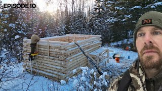 Winter Log Cabin Build on OffGrid Homestead EP10 [upl. by Solrak]