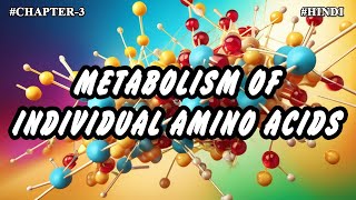 Chapter  3  Metabolism Of Individual Amino Acids Part3  Hindi [upl. by Orsa]