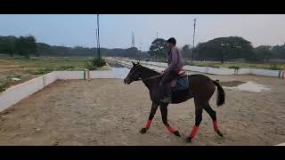 CHRISTURAJ RIDING CLASS BANGALORE [upl. by Assyli7]