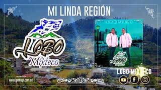 LOBO MIXTECO  MI LINDA REGIÓN 2020 [upl. by Ainaj]