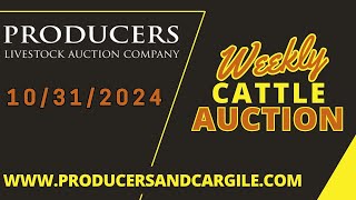 10312024  Cattle Auction  Producers Livestock Auction Company [upl. by Dolores]