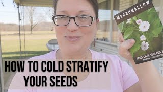 How to Cold Stratify Seeds [upl. by Kathrine]