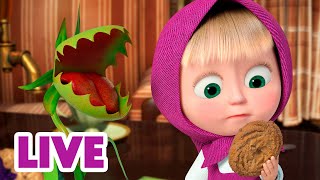 🔴 LIVE 🐻👧 Masha y el Oso 2024 🍓 ¿Qué hay de postre 🎬 Masha and the Bear [upl. by Erika415]