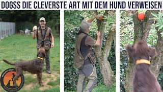 Einfach Verweisen mit DOGSS Dog Search System  Hundeschule UB [upl. by Maggi]