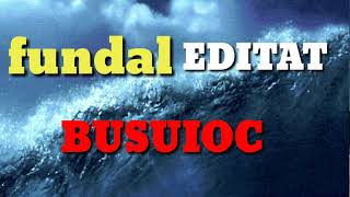 FUNDAL DE PREDICA EDITAT DE BUSUIOC DIN TANDAREI ❤ 202 [upl. by Anaderol]