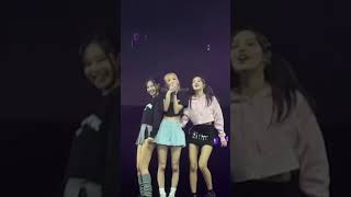 Blackpink performing boombayah in Sydney was chaotic af 😂 [upl. by Janus]