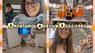 Smontiamo i mobili in soggiornoAndiamo da Primark con CugArriva il topolino [upl. by Parris]