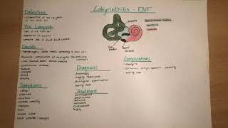 Labyrinthitis  clinics causes symptoms diagnosis complications treatment [upl. by Kenaz349]