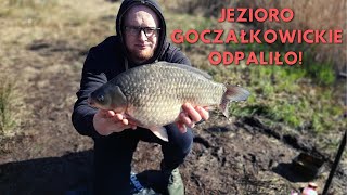 JEZIORO GOCZAŁKOWICKIE JUŻ ŻYJE  Method Feeder 2024 [upl. by Iggem]