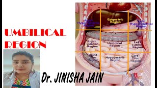 Differential Diagnosis Of Abdominal Pain In Umbilical Region [upl. by Petronia981]