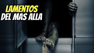 🥀 Misterios en la Morgue  3 Historias de terror de MORGUES [upl. by Lazaro]