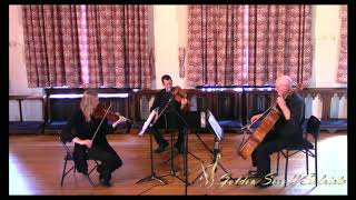 Arioso Bach  String Trio [upl. by Asyral]