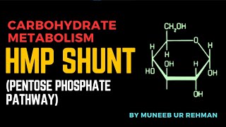 HMP Shunt Pentose Phosphate Pathway With Structures  Carbohydrate Metabolism  Pharm D [upl. by Ahtanamas]