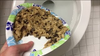 Will it Flush  Nestle Toll House Cookie Dough [upl. by Edmonds]