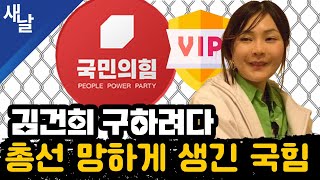 짤 김건희 구하려다 총선 망하게 생긴 국힘 [upl. by Raama]