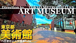 🖼【4K】東京都美術館へご案内【行き方アクセス上野駅上野公園】Direction to Tokyo Metropolitan Art Museumu🇯🇵TOKYO Travel [upl. by Aznarepse595]