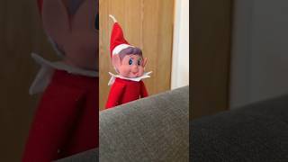 WHAT A NAUGHTY ELF ON A SHELF 😳😱 holidayswithshorts [upl. by Birdie830]