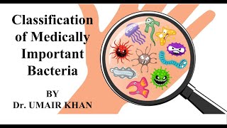 Classification of Medically Important Bacteria by Dr Umair Khan I Bacteriology I Microbiology [upl. by Anoiek]