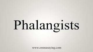 How To Say Phalangists [upl. by Levania]