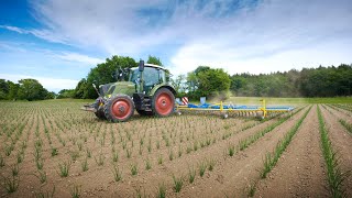 Treffler PräzisionsZinkenstriegel  Fendt Vario [upl. by Skinner728]