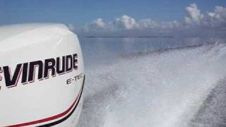 Evinrude Etec 115 [upl. by Alahcim]