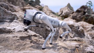 Unitree Go2 Quadruped Robot  The Future of Robotics unitree ai advancedrobots [upl. by Elidad505]