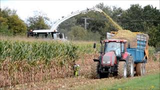 Ensileuses Claas Jaguar COMPILATION  Ensilage de Maïs [upl. by Ardua]