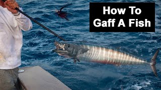 How To Gaff A Fish Mistakes Choosing The Right Size Gaff amp More [upl. by Jeffry416]