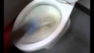 Easy Way to empty a toilet and use a Pumice Stone [upl. by Winthrop]