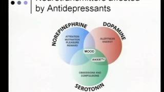 Medical Approach to Neuropathic Pain and Paresthesias [upl. by Lierbag]