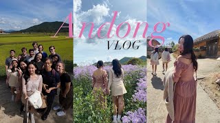 Andong Korea Vlog ⭐️ 2023 Fall Student Exchange [upl. by Anatnahs]