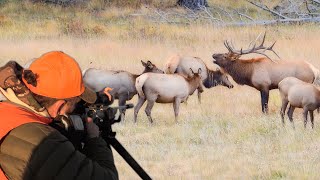 550yard Vapor Trail Our Hunting Partner had NO FEET and Made The PERFECT Shot [upl. by Shanan]