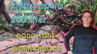 Asian River Aquascape 50 gallons with barbs and botias [upl. by Angeline263]