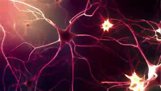 Neurons or Nerve cells [upl. by Clementius152]