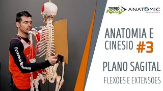 Plano Sagital  Eixo laterolateral  Anatomia e Cinesiologia 3 [upl. by Aicilec781]